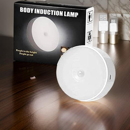 Motion Sensor Light