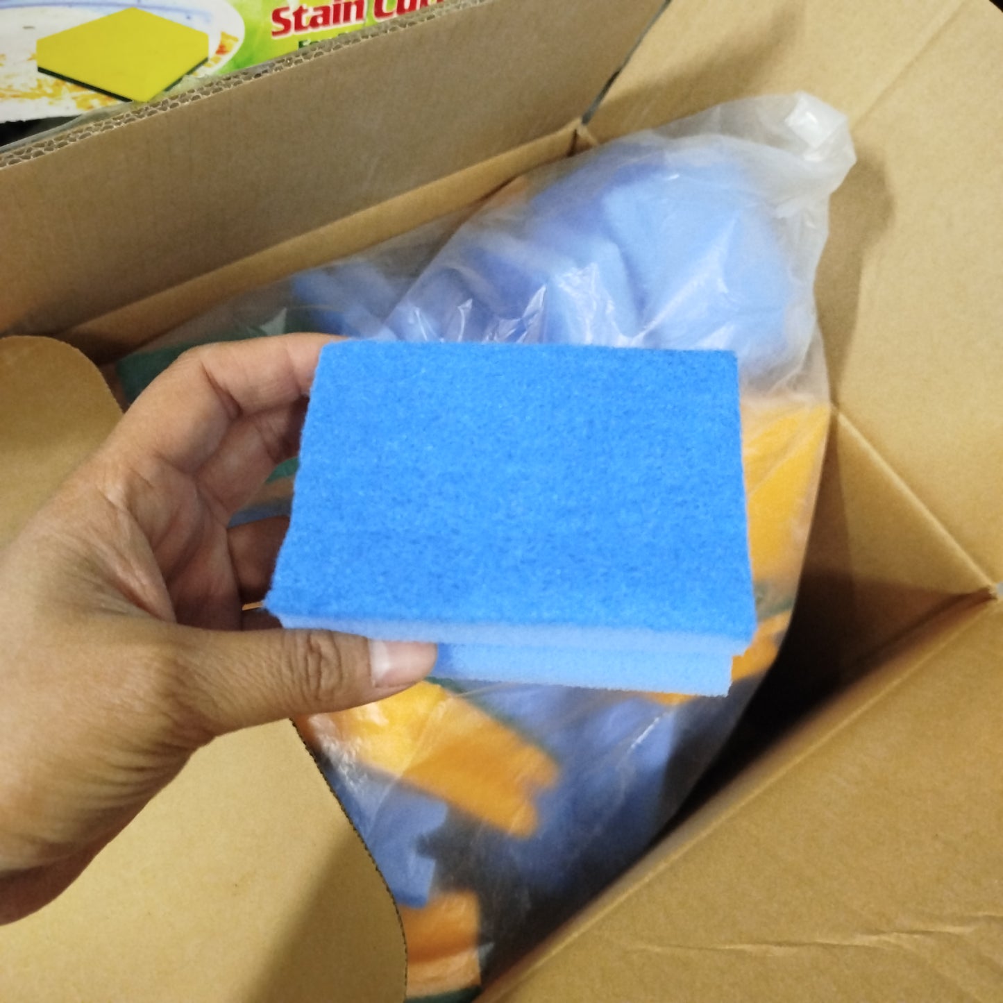 Imported Sponge
